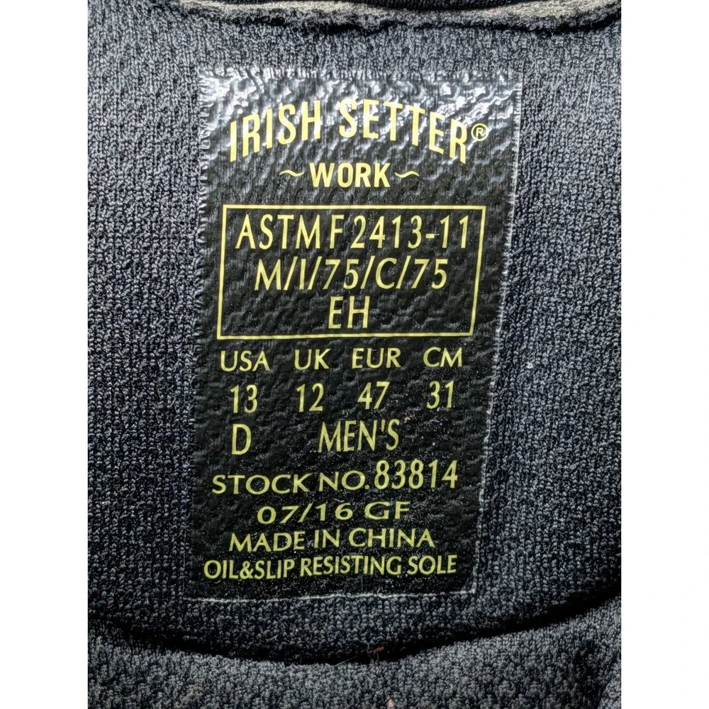 Irish Setter conquer any
